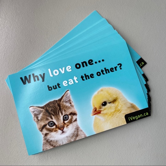 FREE ADD ON - Veg starter kits / recipes, flyers, brochures - Picture 7 of 8